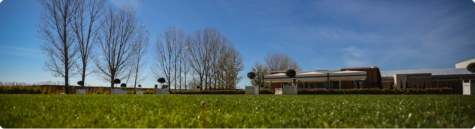 Contacto American Gloss