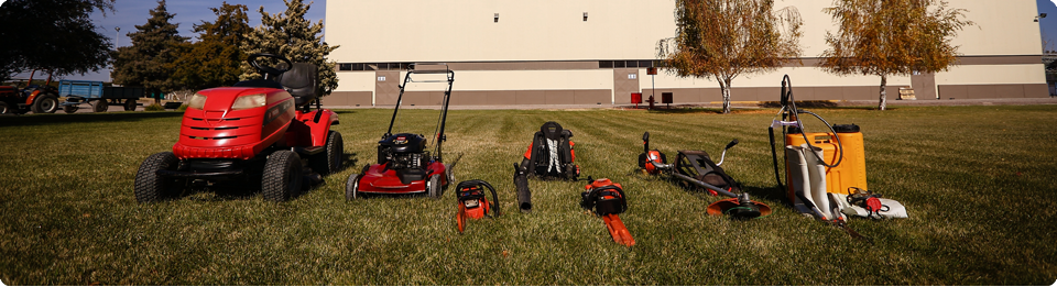 JARDINERÍA Y DESINFECCIÓN